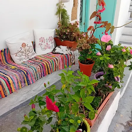 Vasiliki Castle View سكيروس