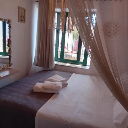 Vasiliki Castle View